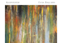 The Radiant Warmth of Evan Ballard and Klepstoter’s ‘The Shadows Made From Light’ Album cover for Evan Ballard and Klepstoter's 'The Shadows Made From Light': layered streaks of color resembling a forest, with green, yellow, and brown featuring prominently